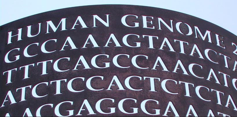 Το πρόγραμμα Αποκωδικοποίησης του Ανθρώπινου Γονιδιώματος αποτέλεσε μια διεθνή επιστημονική προσπάθεια προκειμένου να καταστεί δυνατή η ανάγνωση της ακολουθίας των ζευγών βάσεων απο τις οποίες