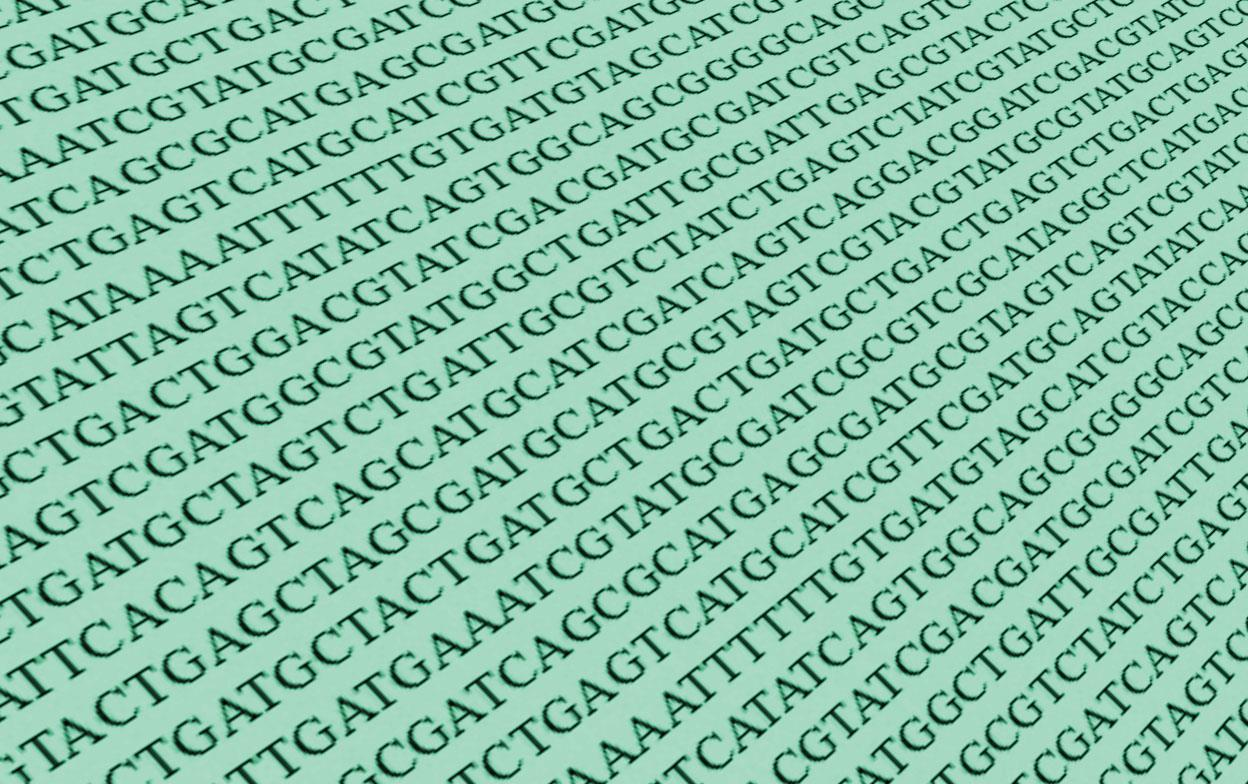 Να σημειωθεί τέλος πως τα δεδομένα που έχουν δημοσιευτεί απο το HGP δεν αντιπροσωπελυουν την ακριβή ακολουθία βάσεων DNA κάθε ανθρώπου καθώς πρόκειται για συνδυασμό γονιδιωμάτων ενος μικρού αριθμού