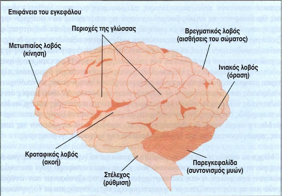 Σχέση