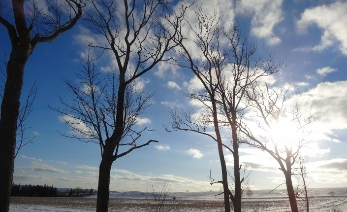 Healing Our Memories By: Henri Nouwen Forgiving does not mean forgetting. When we forgive a person, the memory of the wound might stay with us for a long time, even throughout our lives.