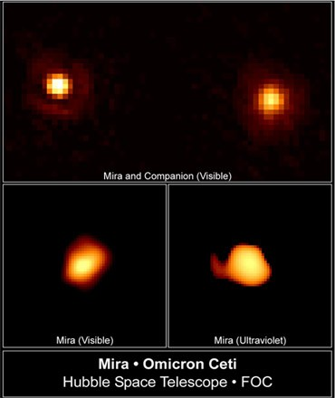 ΜΑΚΡΟΠΕΡΙΟΔΟΙ ΜΕΤΑΒΛΗΤΟΙ (MIRA) o Ceti (Mira): διπλό σύστημα.