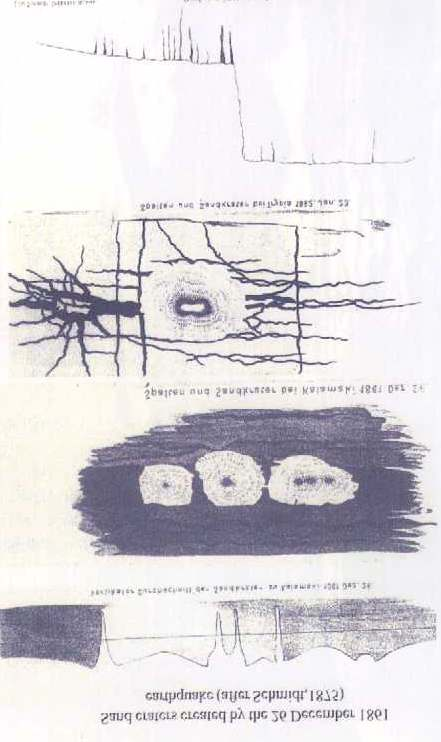 Map of fault ruptions ( ), 1861