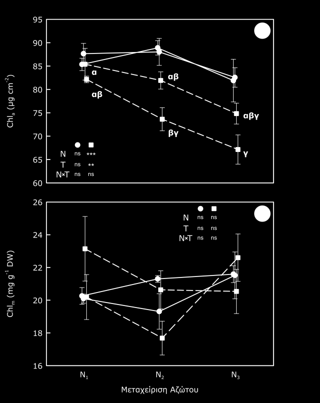 -Αποτελέσματα- ΣΤ. Βιοχημικές παράμετροι ΣΤ.1. Χλωροφύλλη Η επίδραση της μεταχείρισης αζώτου και της επάρκειας νερού στην συγκέντρωση χλωροφυλλών ανά επιφάνεια απεικονίζεται στην εικόνα 22α.