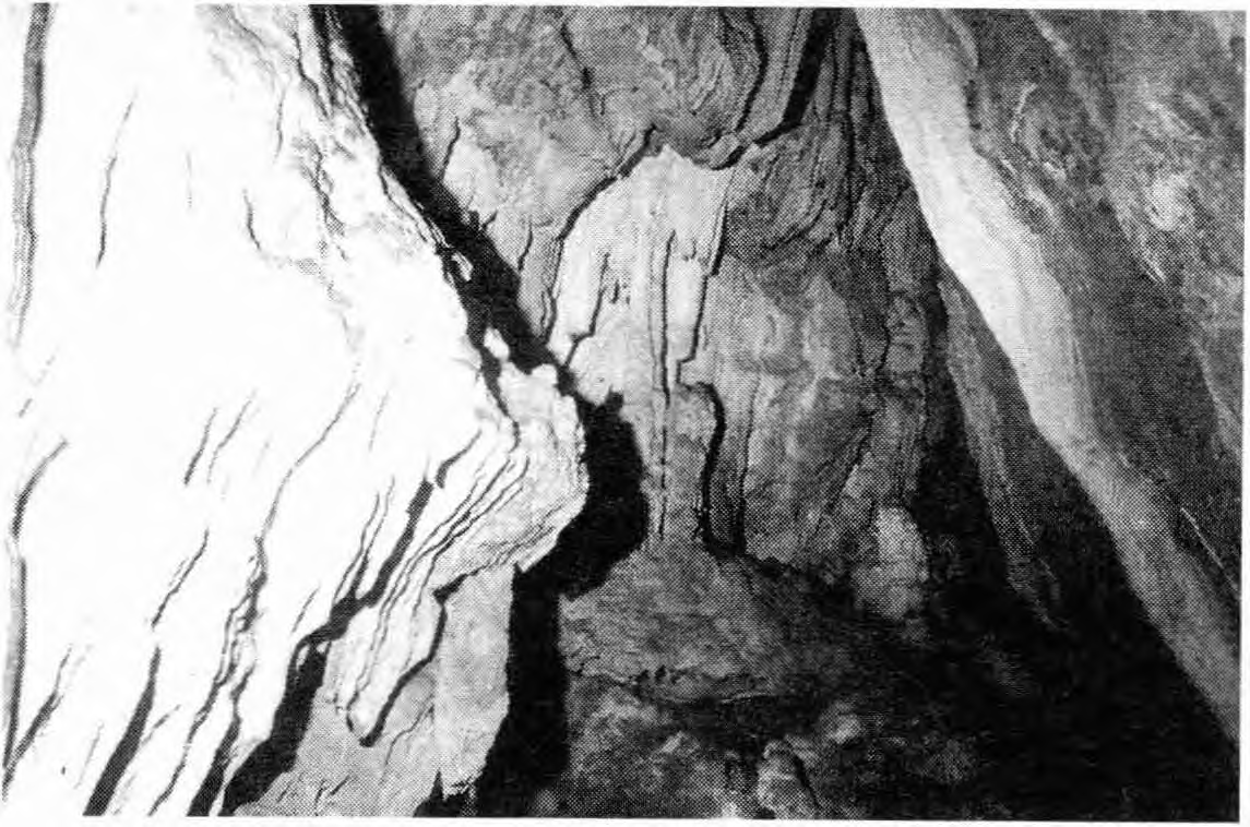 Διαπιστώθηκε ότι πρόκειται για ένα βαραθριόδες σπήλαιο με μικρέςοπέςπεριφερειακά, γεμάτο με κομμάτια οστράκων (θραυσμάτων αγγείων) παλαιολιθικής εποχής και υπολειμμάτων φωτιάς σε πολλά σημεία.