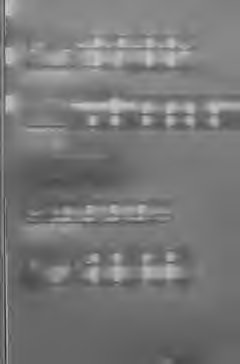 Model Summary(b) Model R R Square Adjusted R Square Std. Error of the Estimate Durbin-Watson 1.