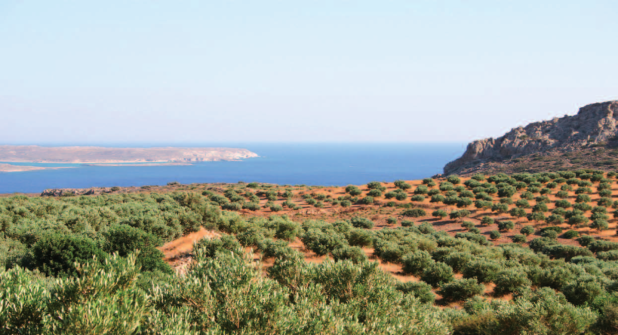 Πιλοτική εφαρµογή φιλοπεριβαλλοντικών δράσεων