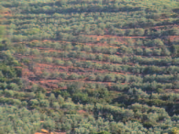 Κοσμάς), αποτυπώθηκε η υφιστάμενη κατάσταση, σε περιοχή του δήμου Πλατανιά, μέσω δημιουργίας χάρτη επικινδυνότητας στην