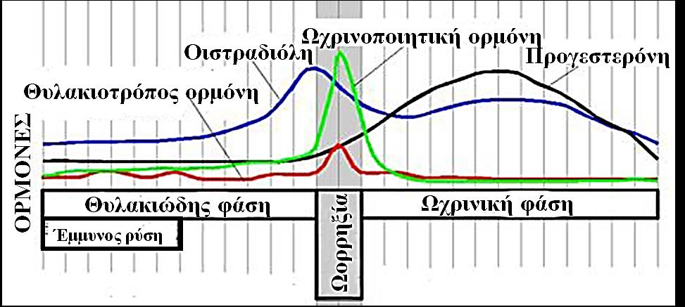 Βιολογικοί Ρυθμοί: Σύστημα ρύθμισης