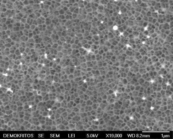 Μικρογραφίες SEM των δισκίων αλουμίνας (ΑΑΟ) μετά τον πολυμερισμό στους 200 0 C για 20 min (αναλογία διαλύματος εμποτισμού 3