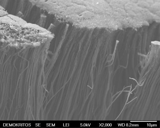 Μικρογραφίες SEM των δισκίων αλουμίνας (ΑΑΟ) μετά τον πολυμερισμό στους 200 0 C για 20 min (αναλογία διαλύματος εμποτισμού 3 ml ρεσόλη