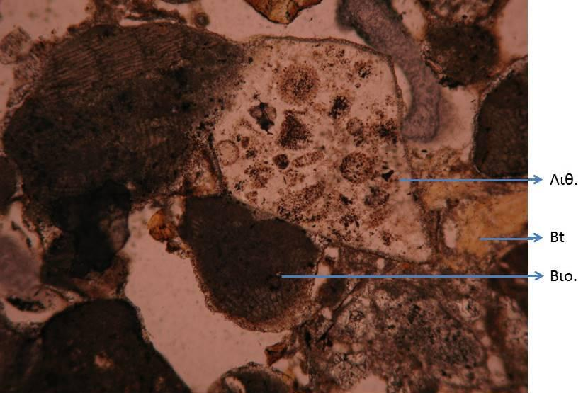 Στις φωτογραφίες 5.1.31γ-θ παρατηρείται ο ιστός του πετρώματος, το πορώδες, η μεγάλη παρουσία βιοκλαστών και η ύπαρξη σπαριτικού συγκολητικού υλικού.