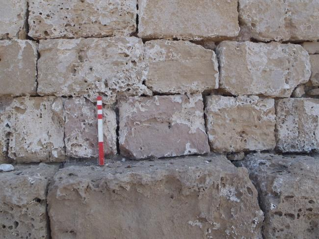 Δείγμα 3 Προέλευση: Κύπρος/Κάστρο Πάφου/Δυτική εξωτερική τοιχοποιία. Ημερομηνία δειγματοληψίας: 12/8/14. Καιρικές συνθήκες (θερμοκρασία, υγρασία): Θερμοκρασία 31 ο C, Υγρασία 75%.