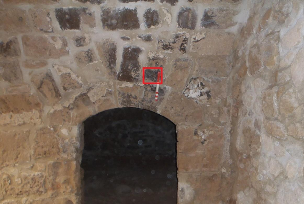 Δείγμα 19 Προέλευση: Κύπρος/Κάστρο Πάφου/Δυτική εσωτερική τοιχοποιία. Ημερομηνία δειγματοληψίας: 19/8/14.