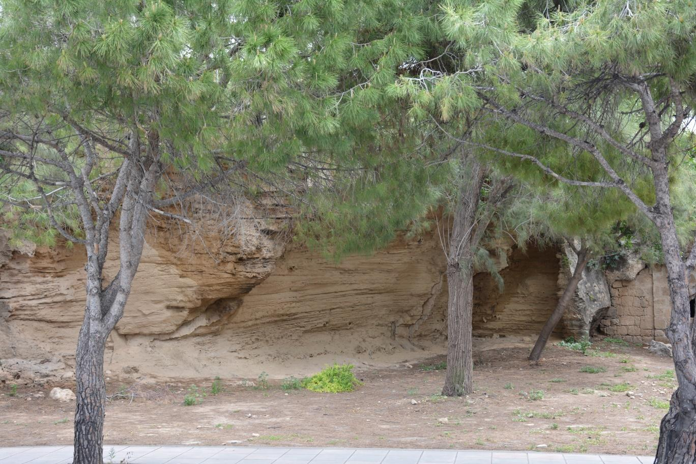 Εικόνα 4.1.29α: Λόφος Φάμπρικας. Δείγμα 30 Προέλευση: Κύπρος/Πάφος/Δυτικό τοίχος Νέας Πάφου. Ημερομηνία δειγματοληψίας: 16/4/15.