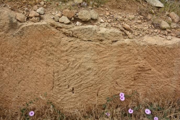 Περιγραφή δείγματος: Δείγμα από θέσεις αρχαίας λατόμησης στην περιοχή «Τάφοι των