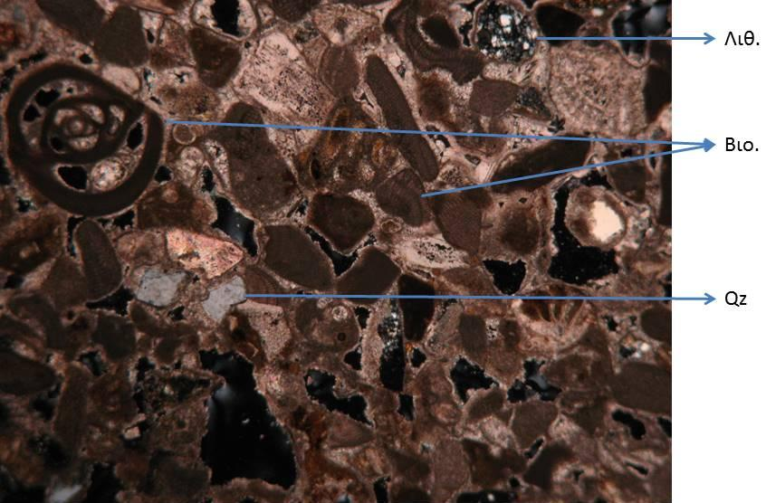Στις εικόνες 5.1.2γ-η παρατηρείται ο ιστός του πετρώματος, το πορώδες, η μεγάλη παρουσία βιοκλαστών και η ύπαρξη σπαριτικού συγκολλητικού υλικού.