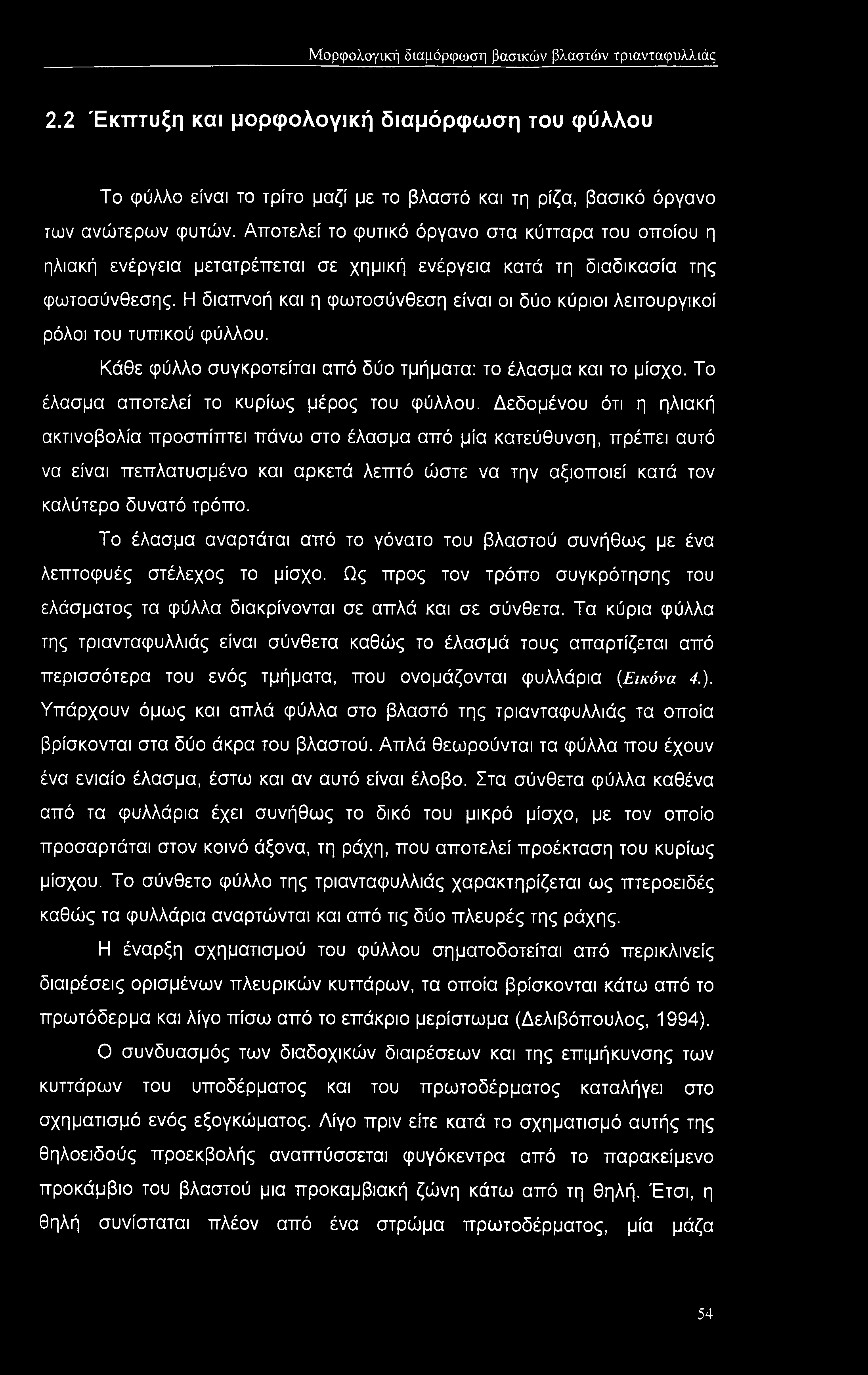 Μορφολογική διαμόρφωση βασικών βλαστών τριανταφυλλιάς 2.2 Έκπτυξη και μορφολογική διαμόρφωση του φύλλου Το φύλλο είναι το τρίτο μαζί με το βλαστό και τη ρίζα, βασικό όργανο των ανώτερων φυτών.