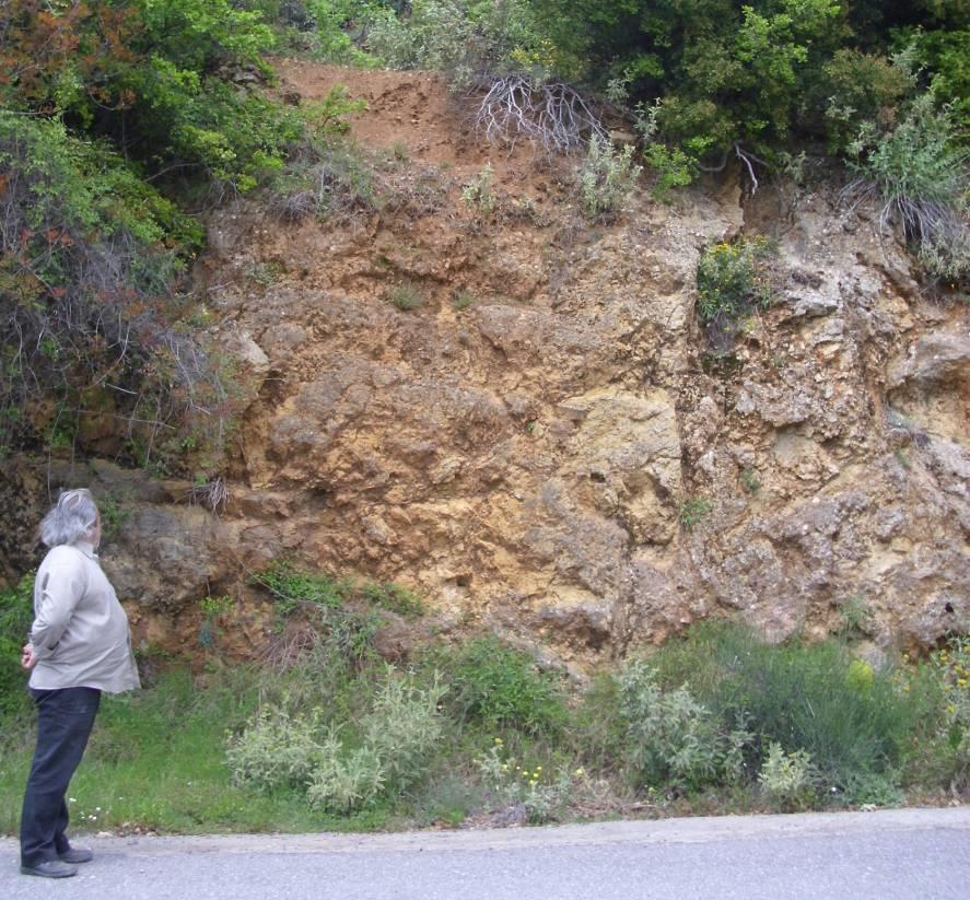 Εικόνα 31: Ασβεστόλιθοι Τριπόλεως οι οποίοι απεικονίζονται στην