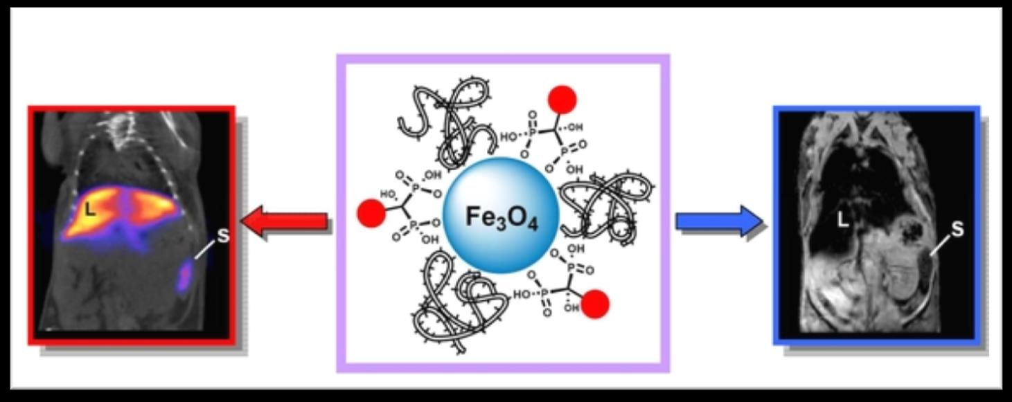 Επισήμανση των Fe 3 O 4 -DPD NPs με το ραδιοϊσότοπο Ga Fe 3 O 4 -DPD Nps Ρυθμιστικό διάλυμα οξικού νατρίου (0,2Μ) ph 4 GaCl 3 (Έκλουσμα από γεννήτρια Ge/ Ga) T= 90 o C 40min Σύμπλοκο Ga-Fe 3 O 4 -DPD