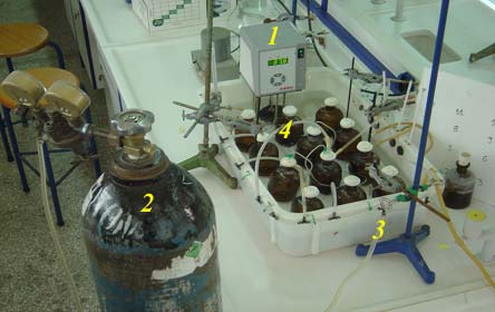 συλλογή βιοαερίου. Σχήμα 2.1.3: Εργαστηριακή μονάδα αναερόβιας χώνευσης.