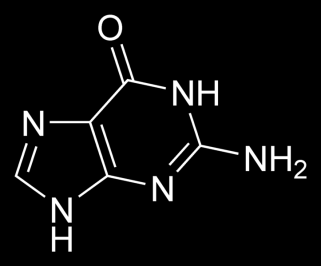 Zināms, ka adenīns saistās ar timīnu (DNS) vai uracilu (RNS), bet citozīns saistās ar guanīnu. Pareiza saistīšanās starp pareizajām bāzēm ir svarīga, un defekti var novest pie vēža.