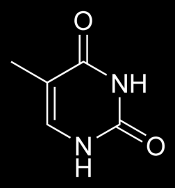 ) Ar struktūrām, uzzīmē ūdeņraža saišu veidošanos starp: a) Adenīnu un timīnu b) Citozīnu un guanīnu. Viens no faktoriem, kas rada ģenētiskās mutācijas, slāpekļa bāzu tautomērās formas.