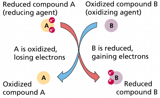 reducirana komponenta A (reducent) oksidirana komponenta B (oksidant)