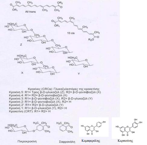 Εικόνα II: Χημική Δομή Κύριων Συστατικών του Saffron Οι κροκίνες είναι ασυνήθιστα υδατοδιαλυτά καροτενοειδή, ενώ αποτελούν τις σημαντικότερες χρωστικές των στιγμάτων (4-6 %) με το μεγαλύτερο ποσοστό