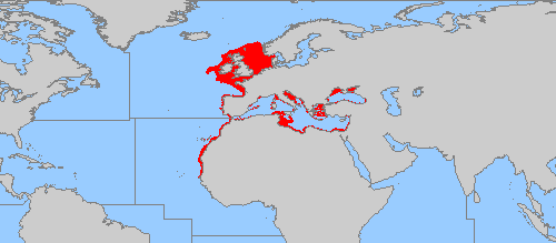 1. ΕΙΣΑΓΩΓΗ Η κουτσοµούρα (Mullus barbatus) είναι ένα από τα περισσότερο εµπορικά είδη ψαριών των ελληνικών θαλασσών αλλά και ολόκληρης της Μεσογείου, ενώ απαντάται στις ανατολικές ακτές του Β.