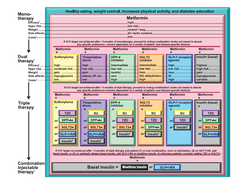 ADA Standards of Medical Care in
