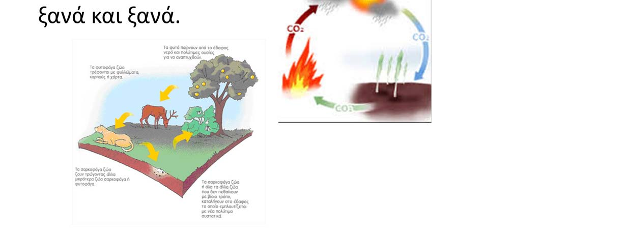 Έχετε ακούσει στο δημοτικό για το κύκλο του νερού, του άνθρακα αλλά και τη διατροφική