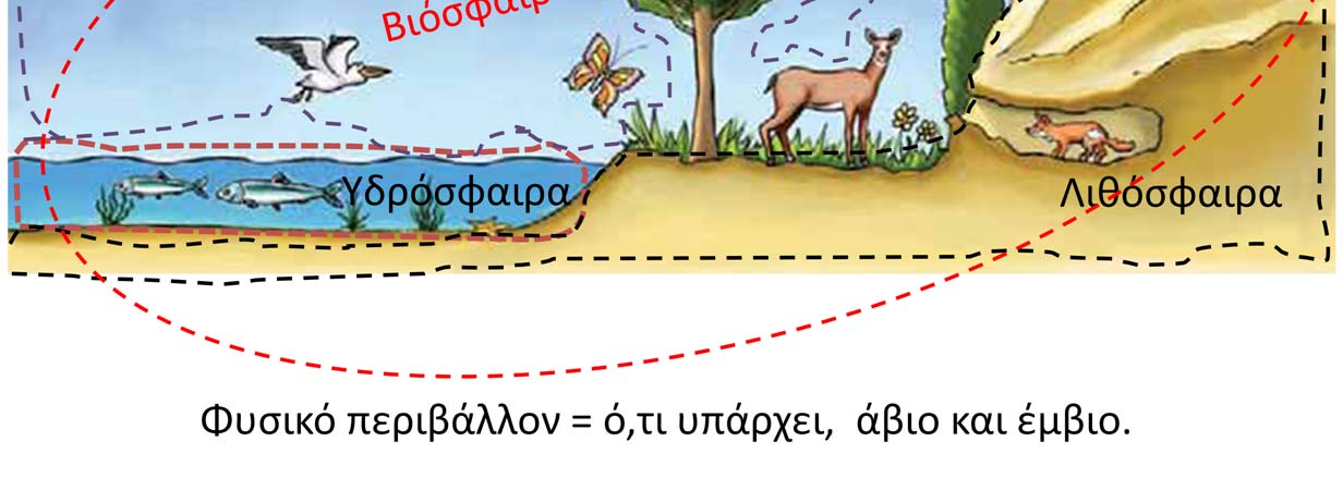 Τα όρια αυτών δεν είναι ξεκάθαρα και συχνά το ένα φιλοξενείται σε μέρη του άλλου