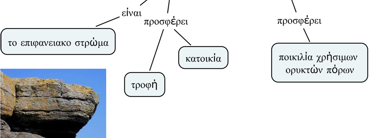 και αναπτύσσονται τα φυτά και τα ζώα