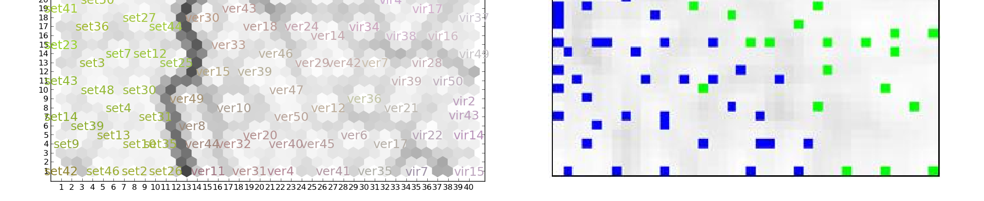 (B) Ο πίνακας U-Matrix για ένα 40x40 δίκτυο, κόκκινο: I. setosa, πράσινο: I. vesicolor και µπλε: I. virginica (RaolnWiki, 2010). Σχήµα 3.