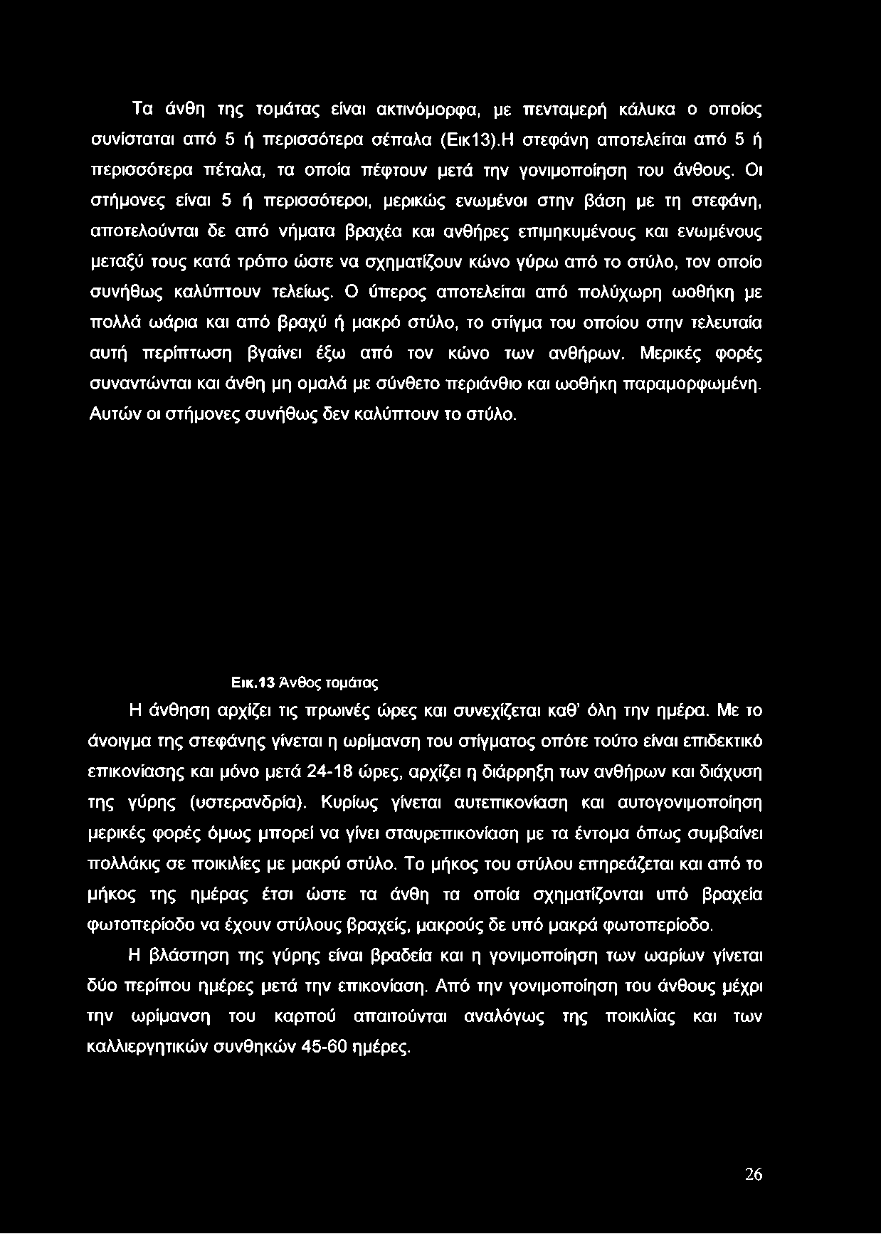 Τα άνθη της τομάτας είναι ακτινόμορφα, με πενταμερή κάλυκα ο οποίος συνίσταται από 5 ή περισσότερα σέπαλα (Εικ13).