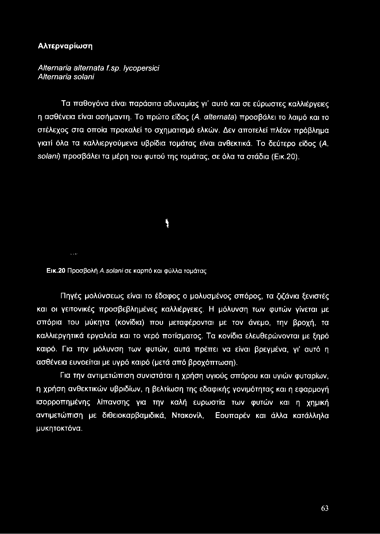 Αλτερναρίωση Alternaría alternata f.sp. lycopersici Alternaría solani Τα παθογόνα είναι παράσιτα αδυναμίας γι' αυτό και σε εύρωστες καλλιέργειες η ασθένεια είναι ασήμαντη. Το πρώτο είδος (A.