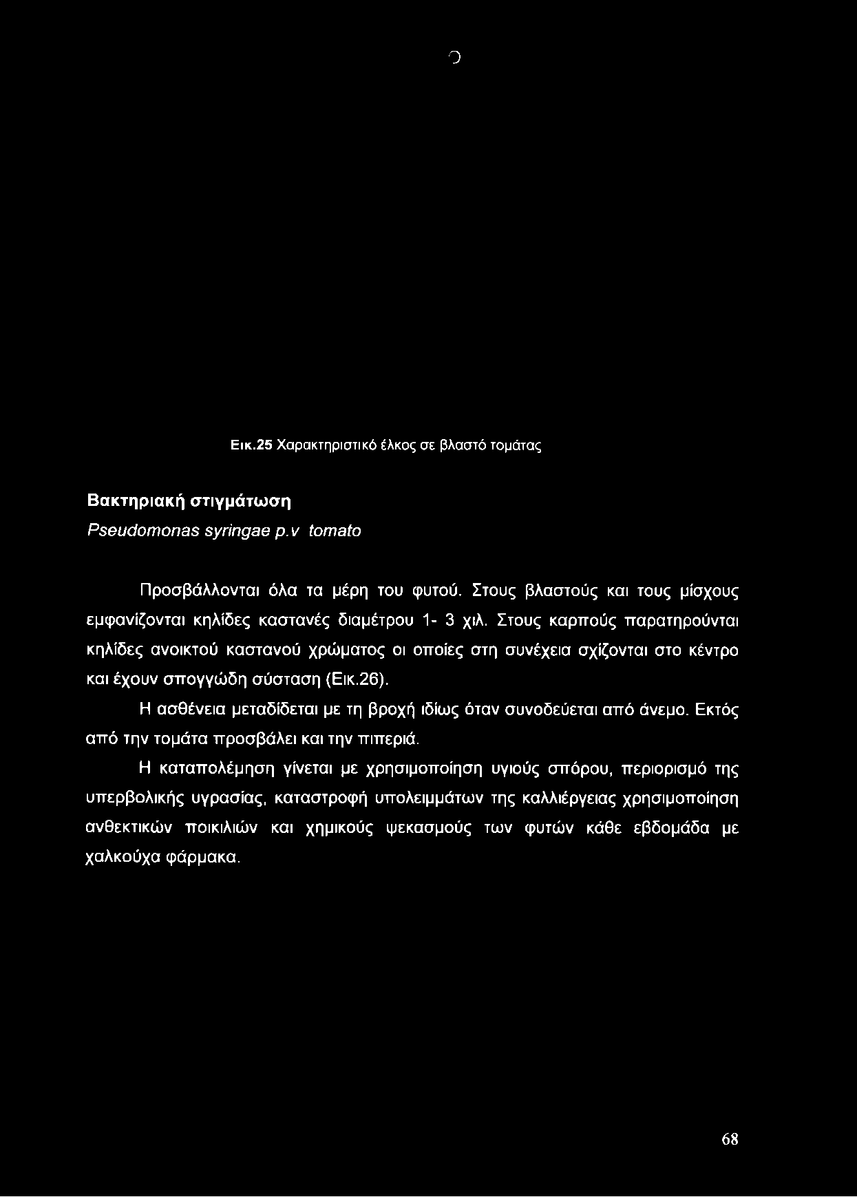 ο Εικ.25 Χαρακτηριστικό έλκος σε βλαστό τομάτας Βακτηριακή στιγμάτωση Pseudomonas syringae ρ. ν tomato Προσβάλλονται όλα τα μέρη του φυτού.