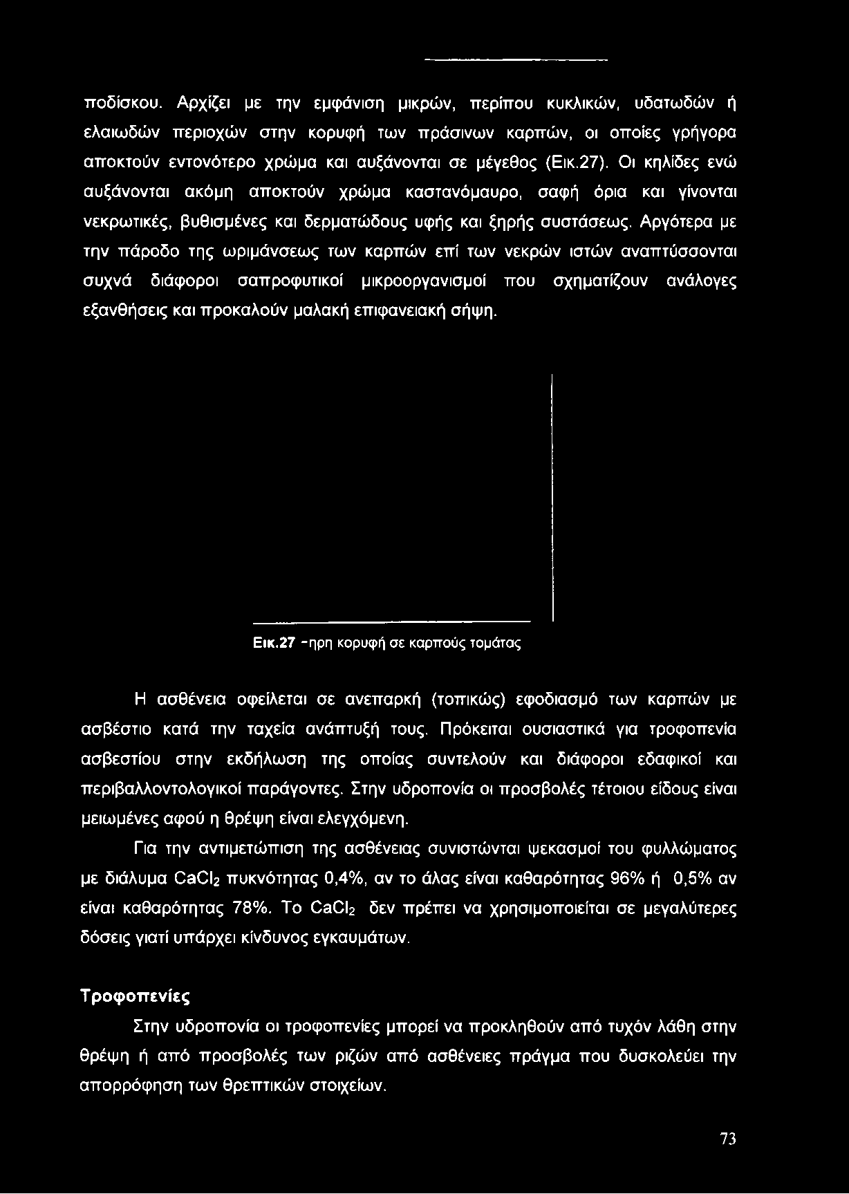 Αργότερα με την πάροδο της ωριμάνσεως των καρπών επί των νεκρών ιστών αναπτύσσονται συχνά διάφοροι σαπροφυτικοί μικροοργανισμοί που σχηματίζουν ανάλογες εξανθήσεις και προκαλούν μαλακή επιφανειακή