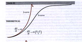 λογιστική αύξηση είναι μια ειδική περίπτωση της εκθετικής, όσο η Κ προσεγγίζει το άπειρο Φυσικό όριο (k) Θεωρητικό μοντέλο Φυσικό όριο (k) Πραγματικότητα Ρυθμός αύξησης Ρυθμός αύξησης Τα δύο