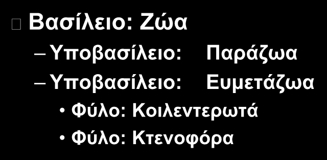 Υποβασίλειο: Ευμετάζωα