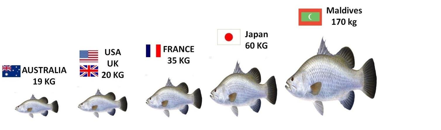 Σύμφωνα με σύγχρονα δεδομένα, η κατανάλωση ψαριού, αποδίδει έως και 180Kcal την ημέρα, κατά κεφαλήν, αλλά αυτά τα υψηλά επίπεδα αφορούν κυρίως σε περιορισμένες χώρες, όπου υπάρχει έλλειψη