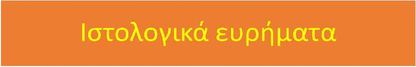 Καρωτιδικές πλάκες με αυξημένη έκφραση αντισωμάτων CD68 παρουσίασαν μεγαλύτερη θερμική ετερογένεια και πρόσληψη FDG(0.59±0.11 vs. 0.