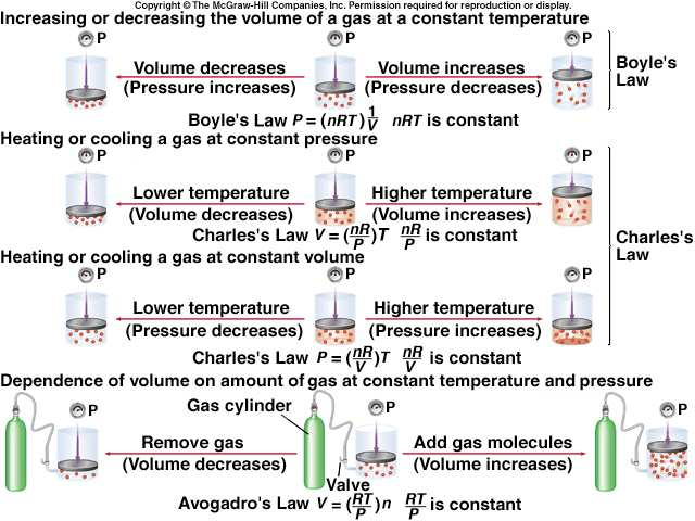 7 2. Ο νόµος του Avogadro Ίσοι όγκοι αερίων ή ατµών στις ίδιες συνθήκες θερµοκρασίας και πίεσης περιέχουν τον ίδιο αριθµό µορίων.