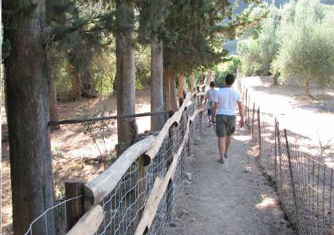 Πραγματοποιήθηκαν το Σάββατο 2 και την Κυριακή 3 Ιουνίου, προτείνοντας δύο διαφορετικές περιηγήσεις σε επιλεγμένα μονοπάτια του αρχαιολογικού χώρου.