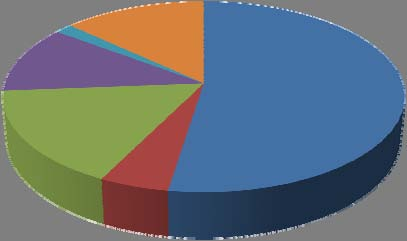 Γράφημα Α2: Ποσοτική σύνθεση της κατηγορίας των ενεργητικών στελεχών τριβής 12% 2% 13% ΕΝΕΡΓΗΤΙΚΑ ΕΡΓΑΛΕΙΑ