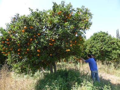 Μέτρα Διαχείρισης Επιφανειακών Υδάτων 1.