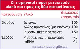 Οι(πυρηνικοί(πόροι(χρησιμοποιούνται(τόσο(