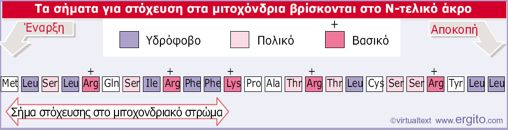 Τα(σήματα(μιτοχονδριακού(εντοπισμού(