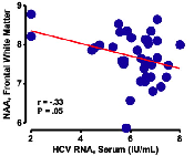 με ανωμαλίες στη Λευκή Ουσία στη δομική MRI Τα υψηλότερα επίπεδα HCV RNA σχετίζονται με χαμηλότερα επίπεδα NAA στη FWM Ο HCV σχετίζεται με Μειωμένες Επιδόσεις 21