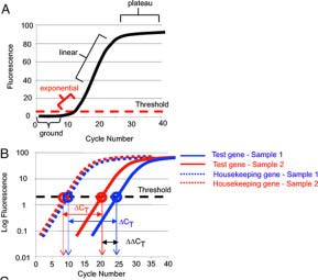 Log fluorescence Cycle number Επιλογή